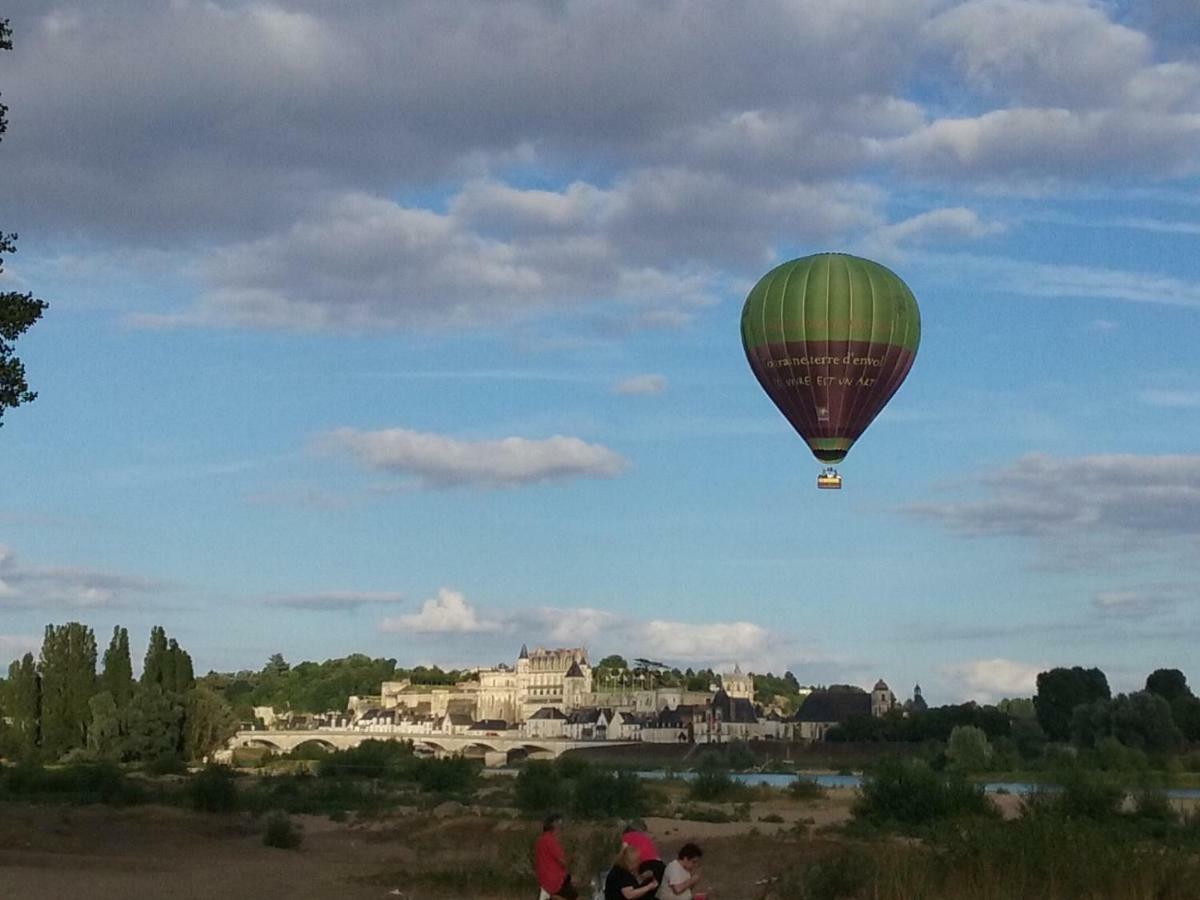 L'amboiselyne
